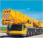 LTM 1500-81